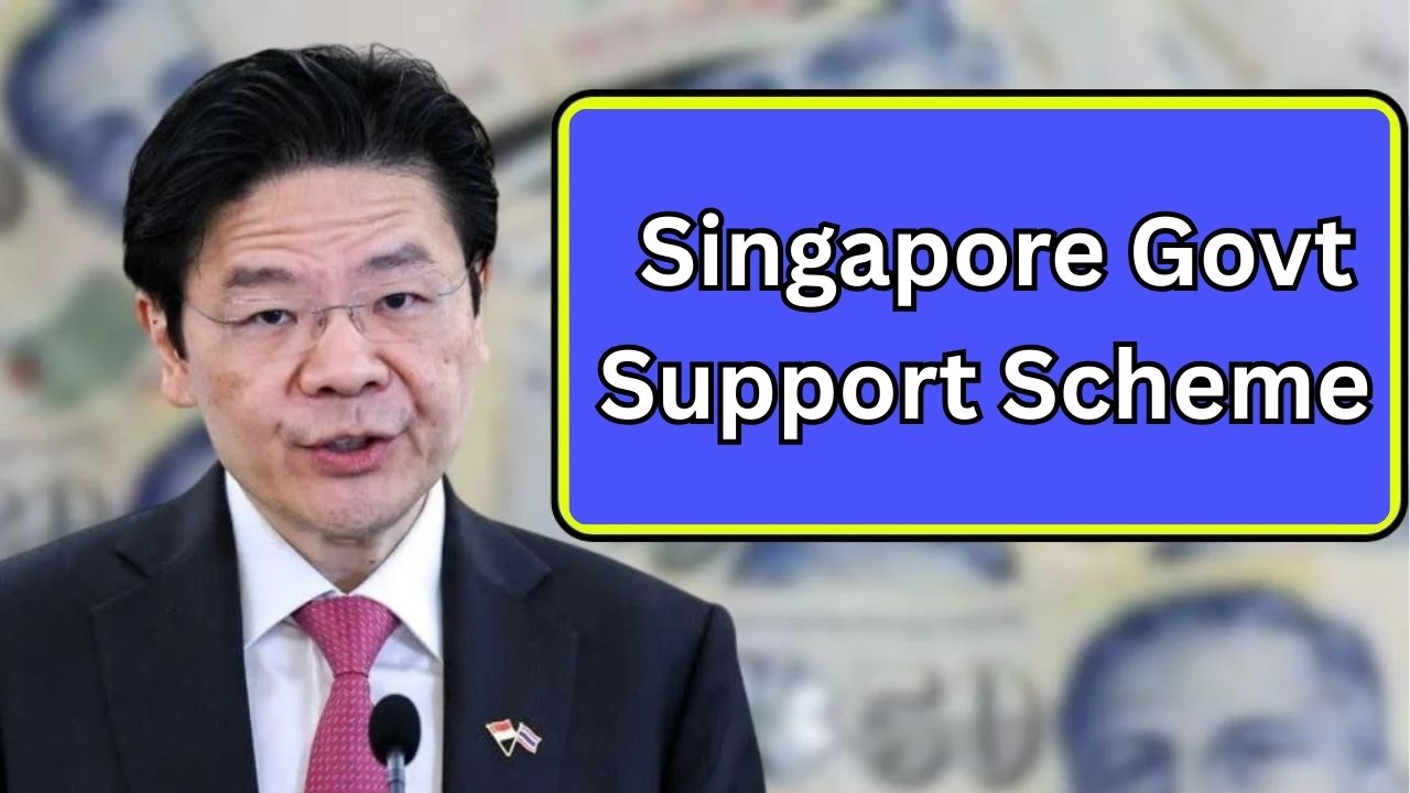 Singapore Govt Support Scheme